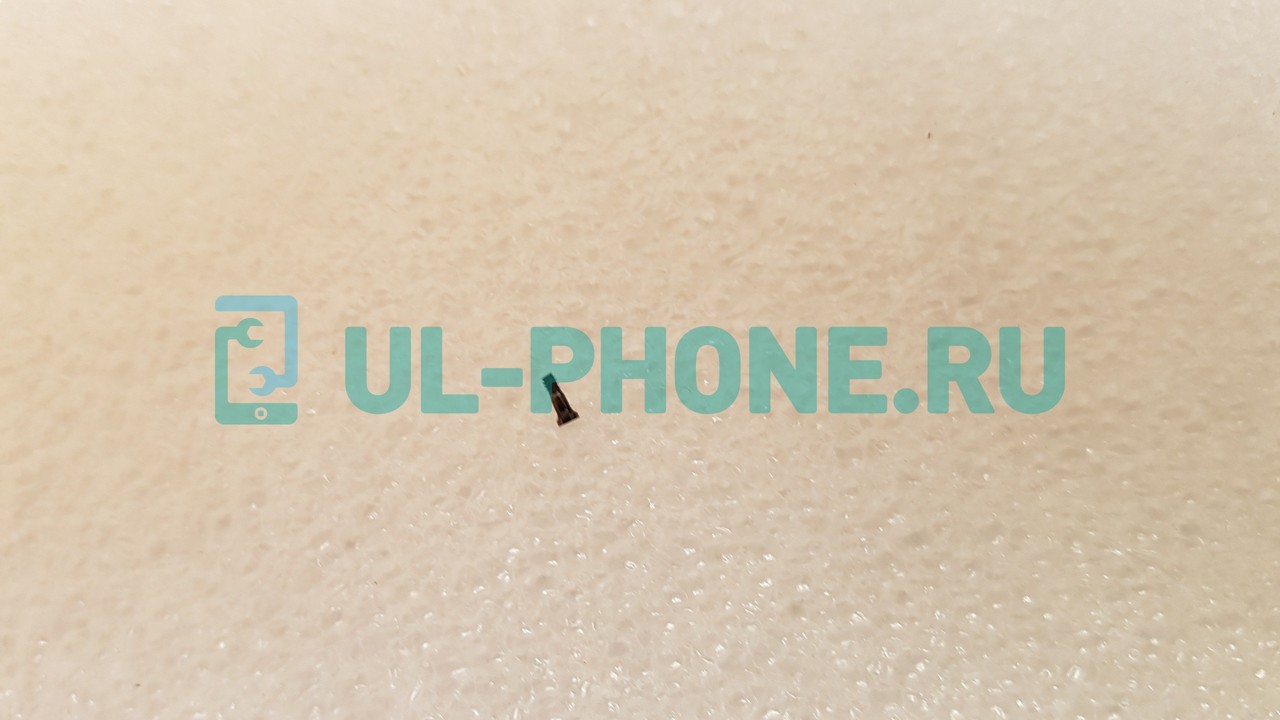Винты задней крышки для iPhone 7 / iPhone 7 Plus (2шт) черный