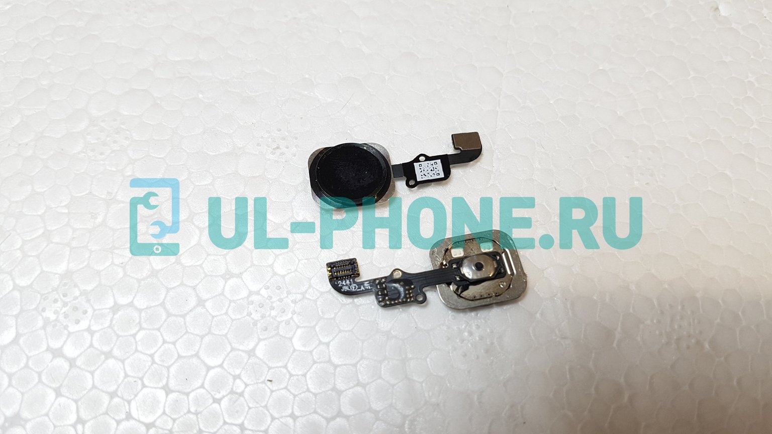 Шлейф для iPhone 6 + кнопка Home (AAA) черный
