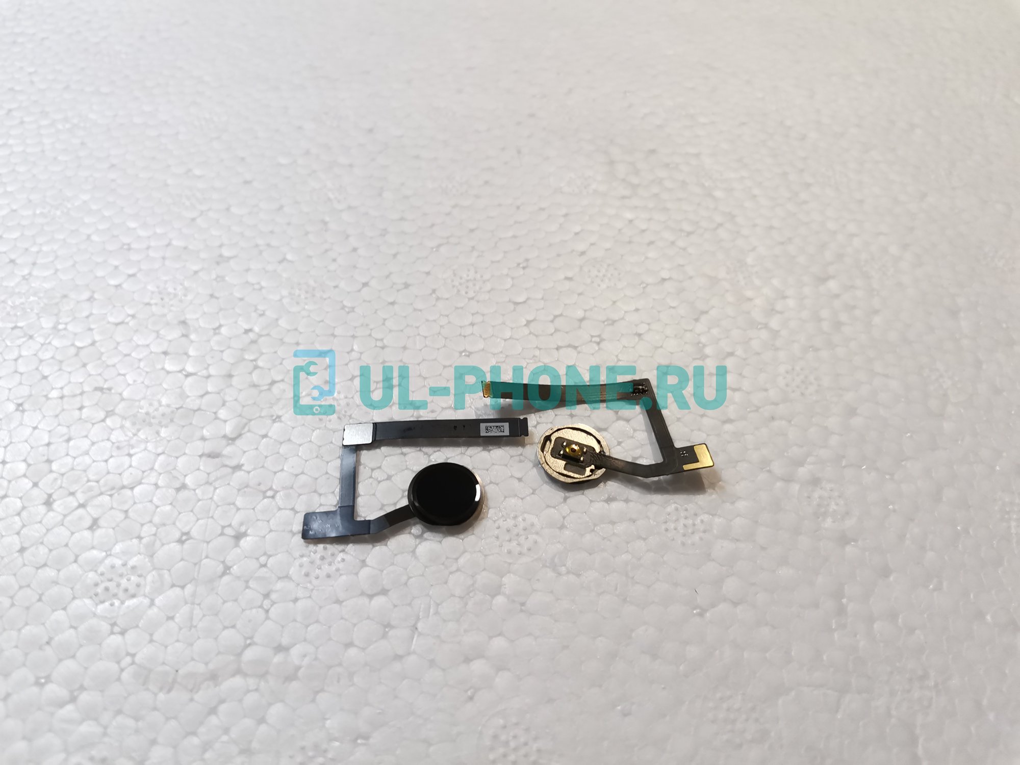 Шлейф для iPad mini 5 (2019) A2123/ A2124/ A2126 + кнопка Home (черная)