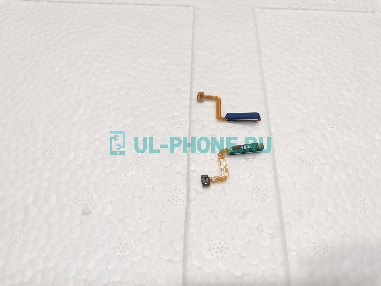 Шлейф для SAMSUNG Galaxy M51, SM-M515F, M317 M31s + кнопка включения + сканер отпечатка пальца (синий)